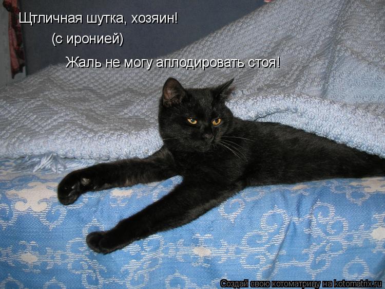 Щтличная шутка, хозяин! Жаль не могу аплодировать стоя! (с иронией)... Котоматрица: Щтличная шутка, хозяин! Жаль не могу аплодировать стоя! (с иронией)