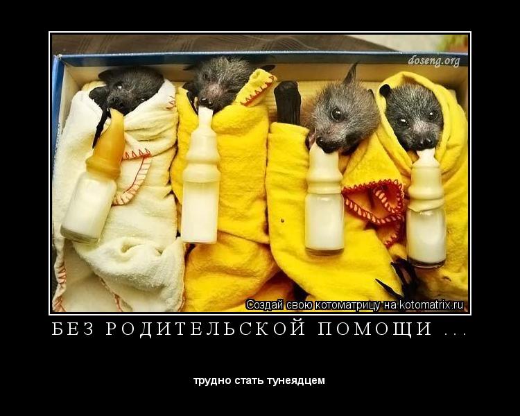 Котоматрица: Б Е З   Р О Д И Т Е Л Ь С К О Й   П О М О Щ И   . . . 