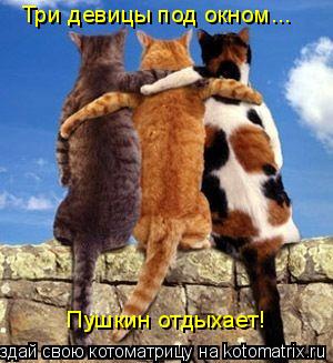 Котоматрица: Три девицы под окном... Пушкин отдыхает!