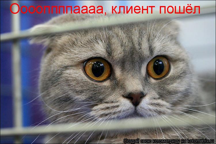 Ооооппппаааа, клиент пошёл... Котоматрица: Ооооппппаааа, клиент пошёл