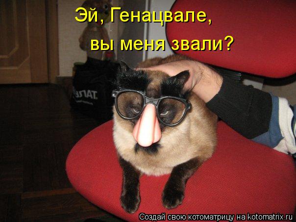 Котоматрица: Эй, Генацвале,  вы меня звали?