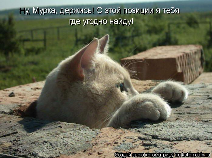 Ну, Мурка, держись! С этой позиции я тебя где угодно найду!... Котоматрица: Ну, Мурка, держись! С этой позиции я тебя где угодно найду!
