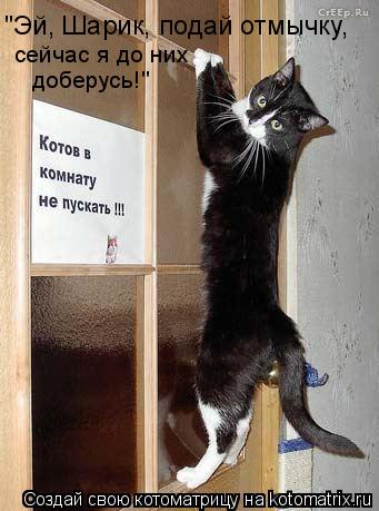 Котоматрица: "Эй, Шарик, подай отмычку, сейчас я до них доберусь!"