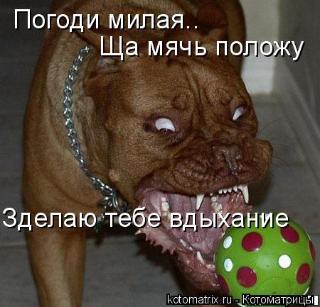 Котоматрица: Погоди милая.. Зделаю тебе вдыхание Ща мячь положу