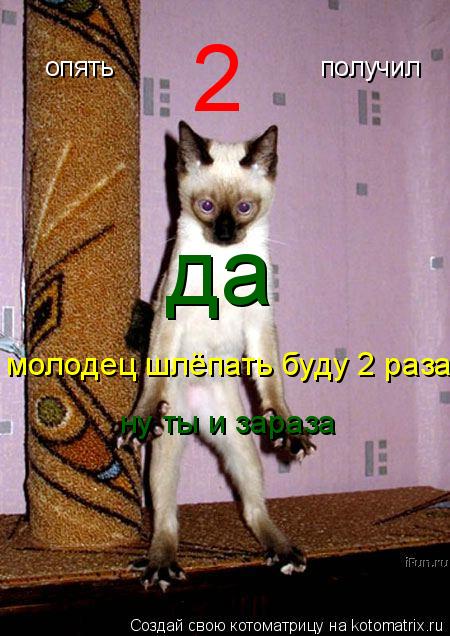 опять получил 2 да молодец шлёпать буду 2 раза ну ты и зараза... Котоматрица: опять получил 2 да молодец шлёпать буду 2 раза ну ты и зараза