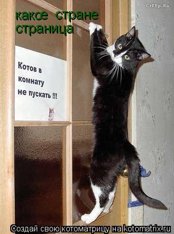 Котоматрица: како стране  е страница