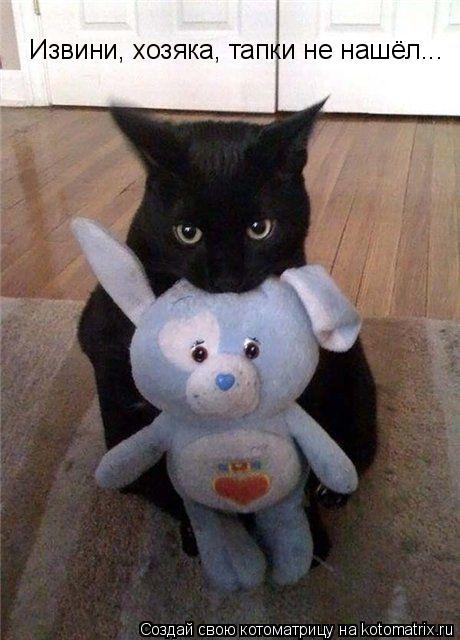 Извини, хозяка, тапки не нашёл...... Котоматрица: Извини, хозяка, тапки не нашёл...