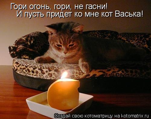 Котоматрица: Гори огонь, гори, не гасни!  И пусть придет ко мне кот Васька!
