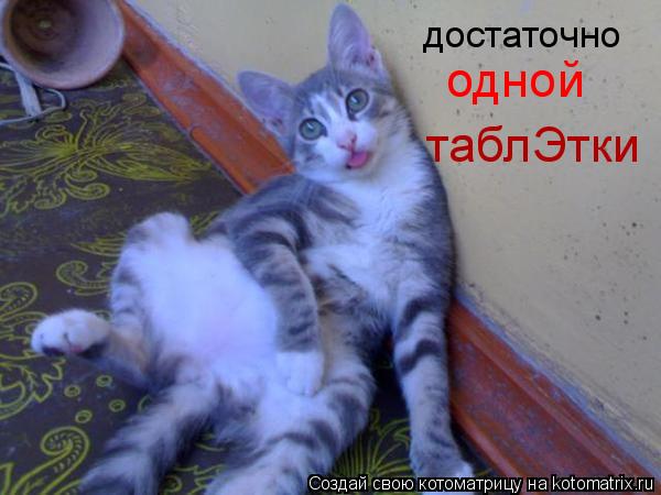 Котоматрица: достаточно одной таблЭтки