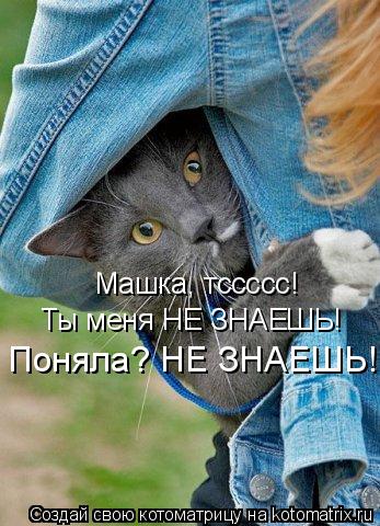 Котоматрица: Машка, тссссс! Ты меня НЕ ЗНАЕШЬ! Поняла? НЕ ЗНАЕШЬ!