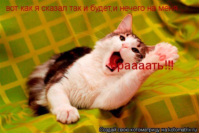 Котоматрица: вот как я сказал так и будет,и нечего на меня ораааать!!!