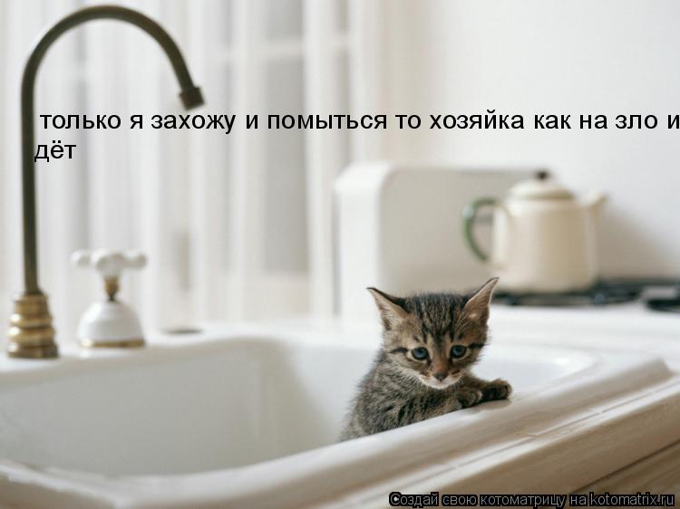 Котоматрица: только я захожу и...  помыться то хозяйка как на зло идёт только я захожу и помыться то хозяйка как на зло идёт дёт