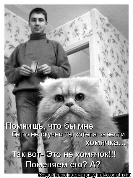 Котоматрица: Помнишь, что бы мне  было не скучно ты хотела завести хомячка... Так вот- Это не хомячок!!! Поменяем его? А?