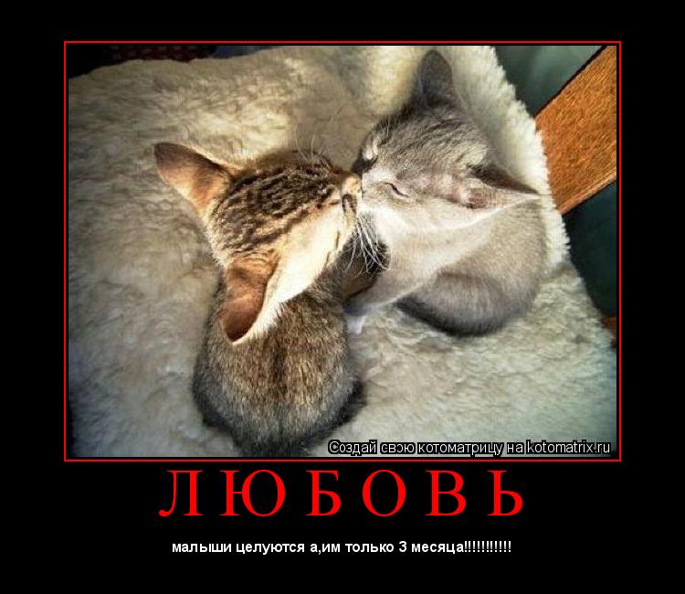 Котоматрица: Л Ю Б О В Ь 