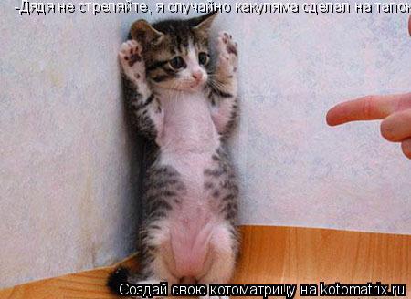 Котоматрица: -Дядя не стреляйте, я случайно какуляма сделал на тапок