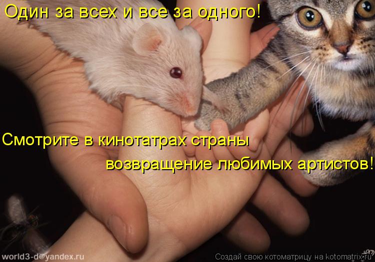 Котоматрица: Один за всех и все за одного! Смотрите в кинотатрах страны  возвращение любимых артистов!