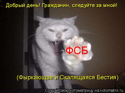 Котоматрица: ФСБ (Фыркающая и Скалящаяся Бестия) Добрый день! Гражданин, следуйте за мной!