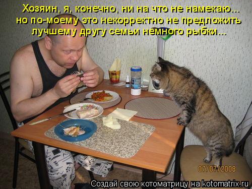 Хозяин, я, конечно, ни на что не намекаю... но по-моему это некорректно не предложить лучшему другу ... Котоматрица: Хозяин, я, конечно, ни на что не намекаю... но по-моему это некорректно не предложить лучшему другу семьи немного рыбки...