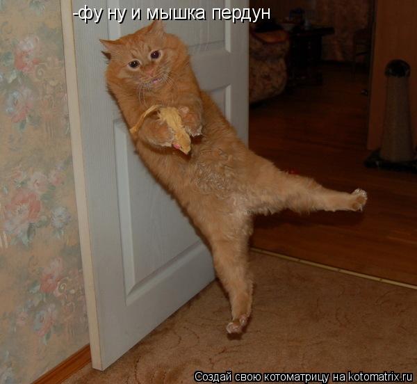 Котоматрица: -фу ну и мышка пердун