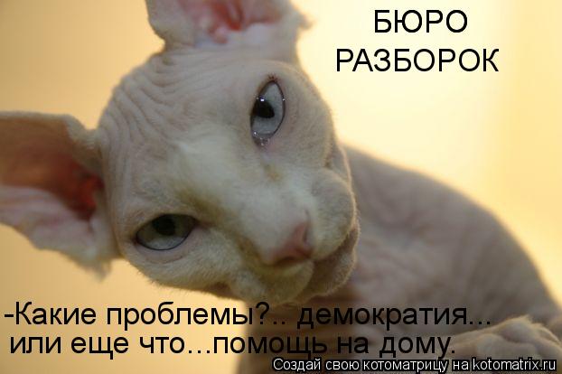 Котоматрица: -Какие проблемы?.. демократия... или еще что...помощь на дому. БЮРО БЮРО РАЗБОРОК