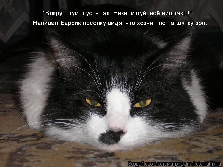 Котоматрица: "Вокруг шум, пусть так. Некипишуй, всё ништяк!!!" Напивал Барсик песенку видя, что хозяин не на шутку зол.