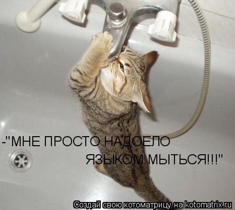 Котоматрица: -"МНЕ ПРОСТО НАДОЕЛО  ЯЗЫКОМ МЫТЬСЯ!!!"