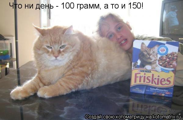 Котоматрица: Что ни женьт Что ни день - 100 грамм, а то и 150!