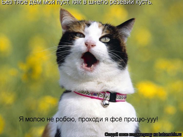 Котоматрица: Без тябе дём мой пуст, кяк в шнегю рёзёвий кусть. Я молсю не робсю, проходи я фсё прощю-ууу!