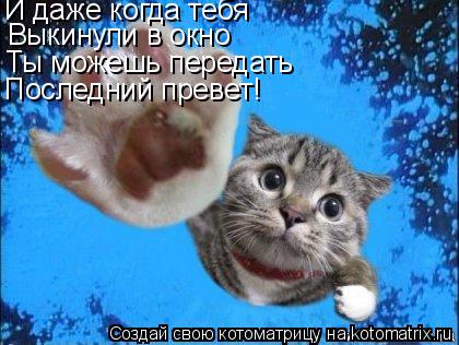 Котоматрица: И даже когда тебя  Выкинули в окно Ты можешь передать Последний превет!