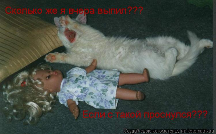 Сколько же я вчера выпил??? Если с такой проснулся???... Котоматрица: Сколько же я вчера выпил??? Если с такой проснулся???