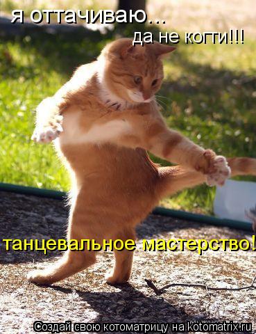 я оттачиваю... да не когти!!! танцевальное мастерство!!!... Котоматрица: я оттачиваю... да не когти!!! танцевальное мастерство!!!