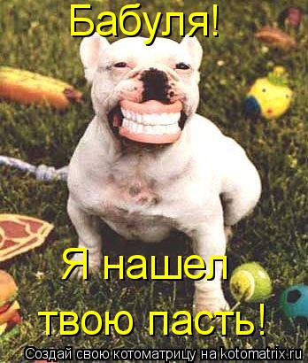 Котоматрица: Бабуля! Я нашел твою пасть!