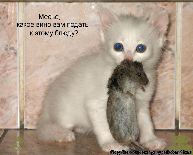 Котоматрица: Месье,  какое вино вам подать  к этому блюду?