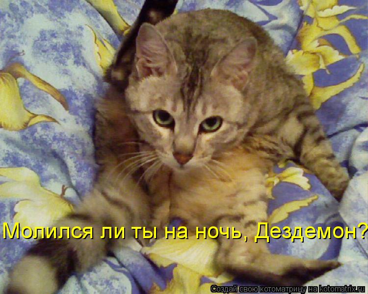 Котоматрица: Молился ли ты на ночь, Дездемон?
