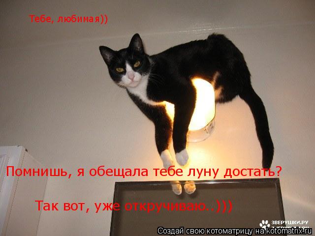 Котоматрица: Помнишь, я обещала тебе луну достать?  Так вот, уже откручиваю..))) Тебе, любимая))