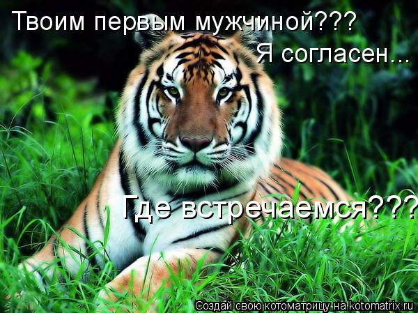 Котоматрица: Твоим первым мужчиной??? Я согласен... Где встречаемся????.