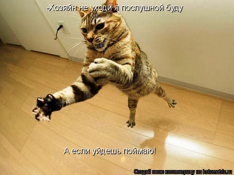 Котоматрица: -Хозяйн не уходи я послушной буду А если уйдешь поймаю!