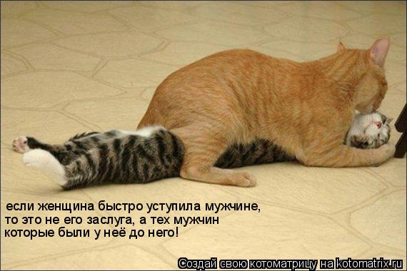 если женщина быстро уступила мужчине, то это не его заслуга, а тех мужчин которые были у неё до него!... Котоматрица: если женщина быстро уступила мужчине, то это не его заслуга, а тех мужчин которые были у неё до него!
