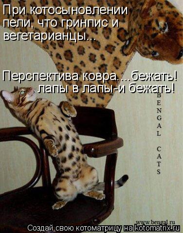 Котоматрица: При котосыновлении пели, что гринпис и вегетарианцы... Перспектива ковра....бежать! лапы в лапы-и бежать!