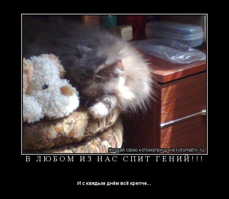 Котоматрица: В   Л Ю Б О М   И З   Н А С   С П И Т   Г Е Н И Й ! ! ! 