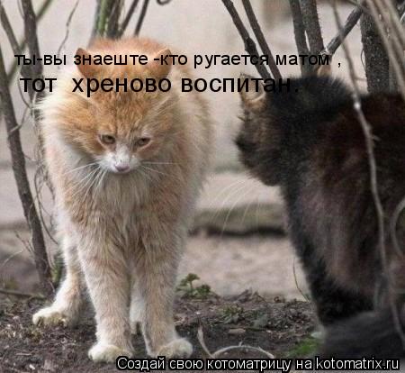 Котоматрица: ты-вы знаеште -кто ругается матом , тот  хреново воспитан.