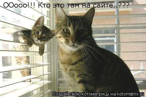 ООооо!!! Кто это там на сайте..???... Котоматрица: ООооо!!! Кто это там на сайте..???