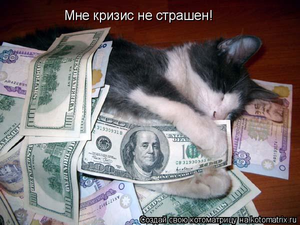 Мне кризис не страшен!... Котоматрица: Мне кризис не страшен!