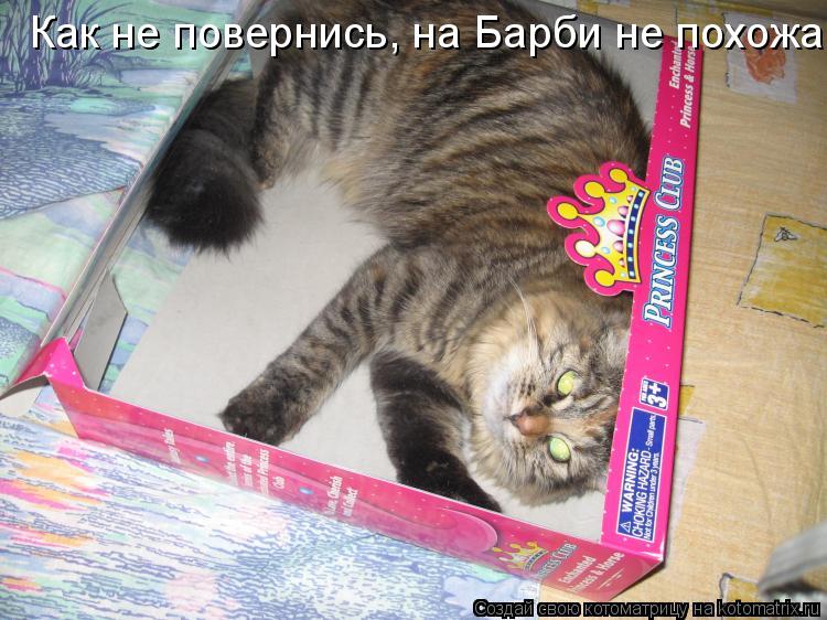 Котоматрица: Как не повернись, на Барби не похожа
