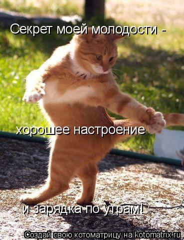 Секрет моей молодости - хорошее настроение и зарядка по утрам!... Котоматрица: Секрет моей молодости - хорошее настроение и зарядка по утрам!