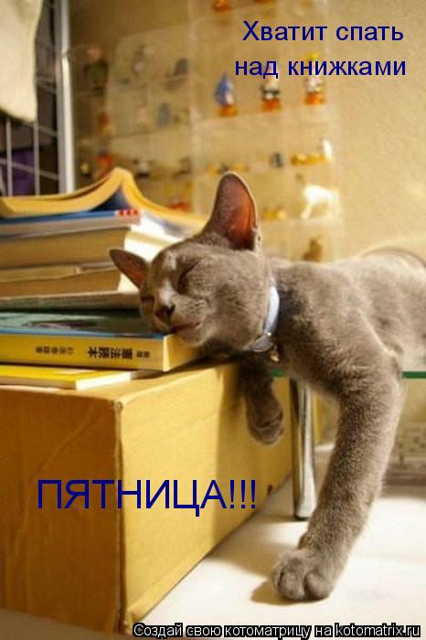 Хватит спать над книжками ПЯТНИЦА!!!... Котоматрица: Хватит спать над книжками ПЯТНИЦА!!!
