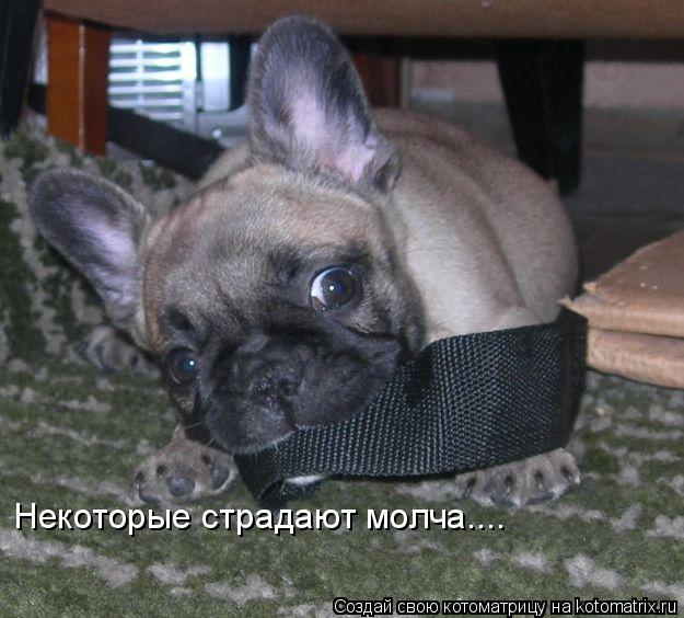 Котоматрица: Некоторые страдают молча....