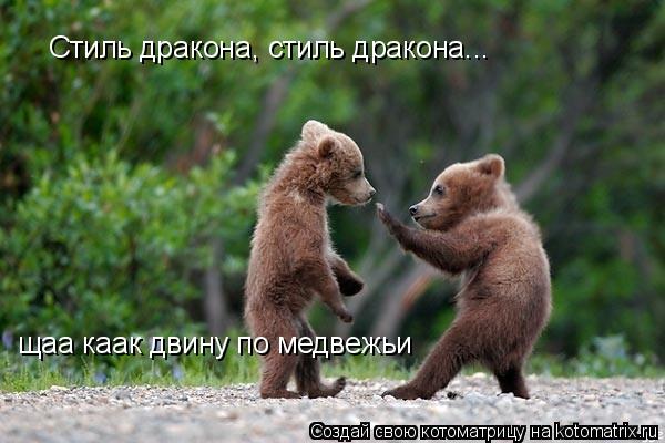 Котоматрица: Стиль дракона, стиль дракона... щаа каак двину по медвежьи