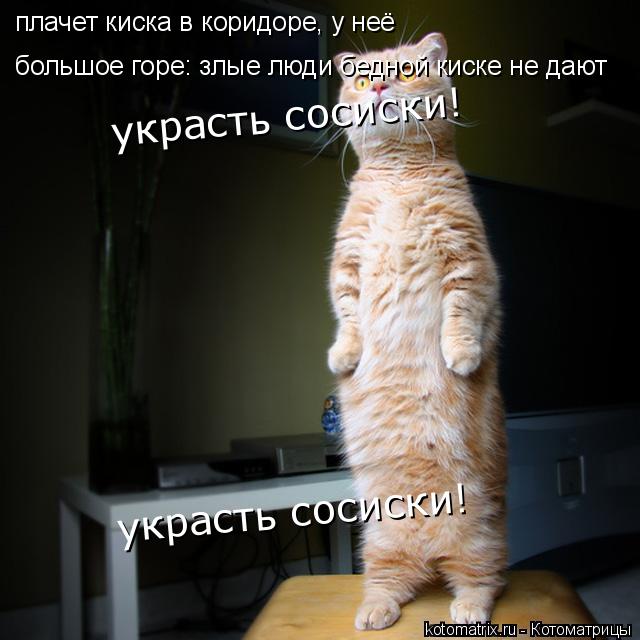плачет киска в коридоре, у неё большое горе: злые люди бедной киске не дают украсть сосиски! украсть... Котоматрица: плачет киска в коридоре, у неё большое горе: злые люди бедной киске не дают украсть сосиски! украсть сосиски!