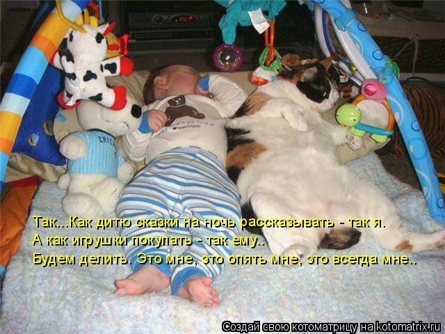 Котоматрица: Так...Как дитю сказки на ночь рассказывать - так я. А как игрушки покупать - так ему.. Будем делить. Это мне, это опять мне, это всегда мне..